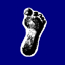 Southern Podiatry Clinic