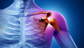 shoulder